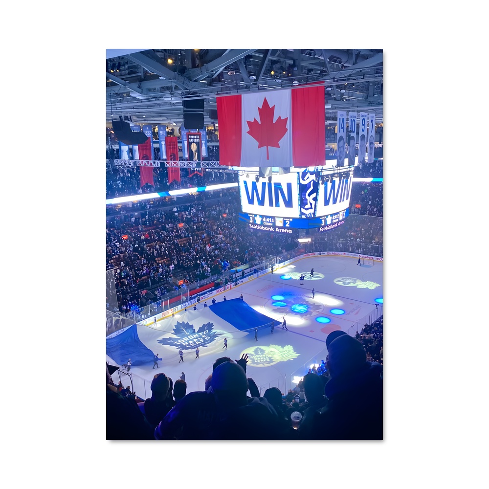 Poster Glace Olympique